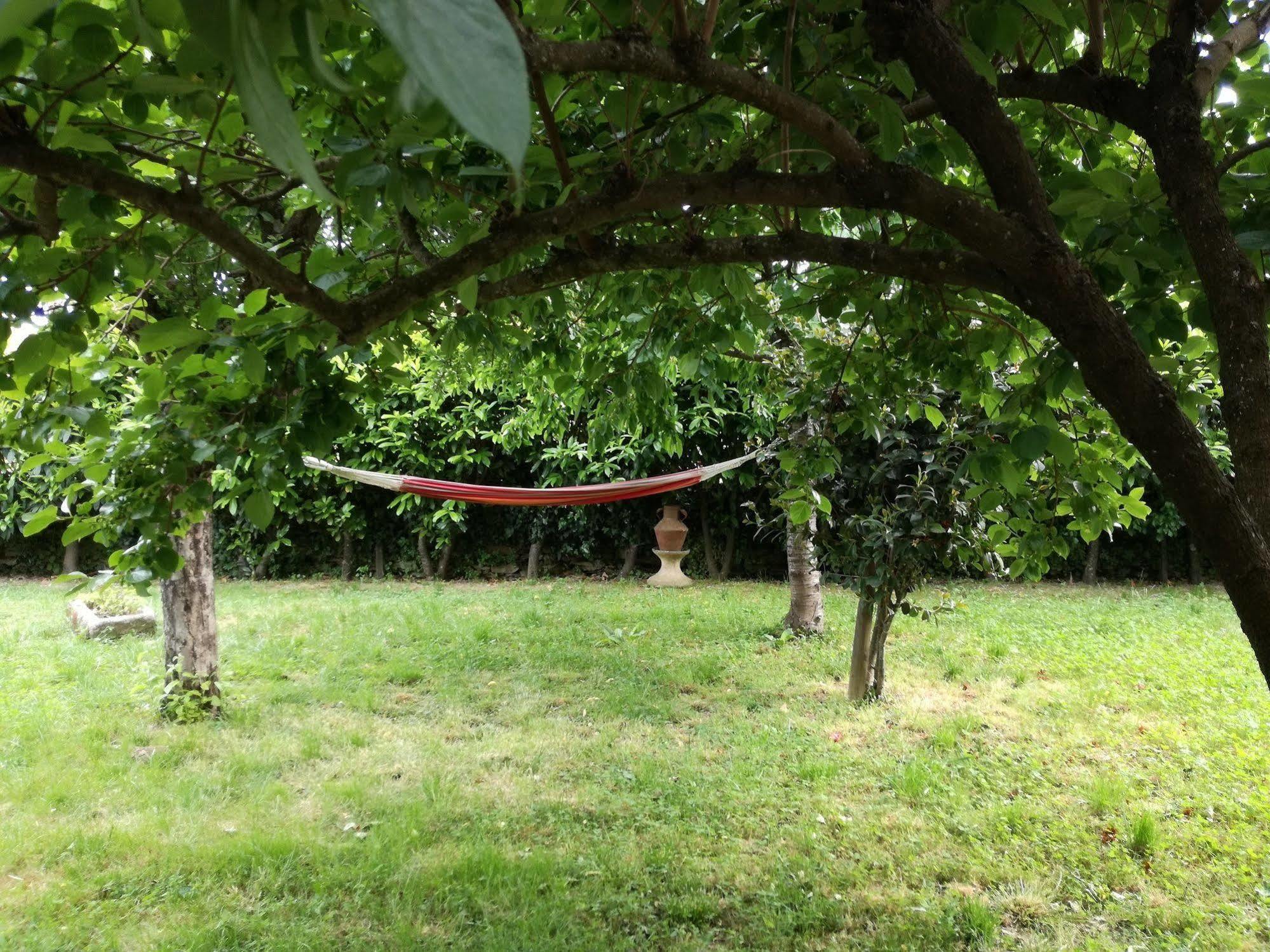 Вілла O Ze Ja Dormiu Aqui Celeiros Екстер'єр фото